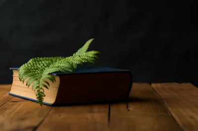 Boek met blad op een tafel