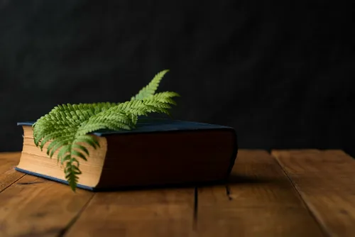 Boek met blad op een tafel